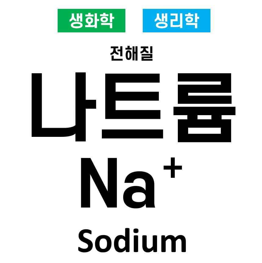 전해질 01. 나트륨(Na⁺, Sodium)의 역할