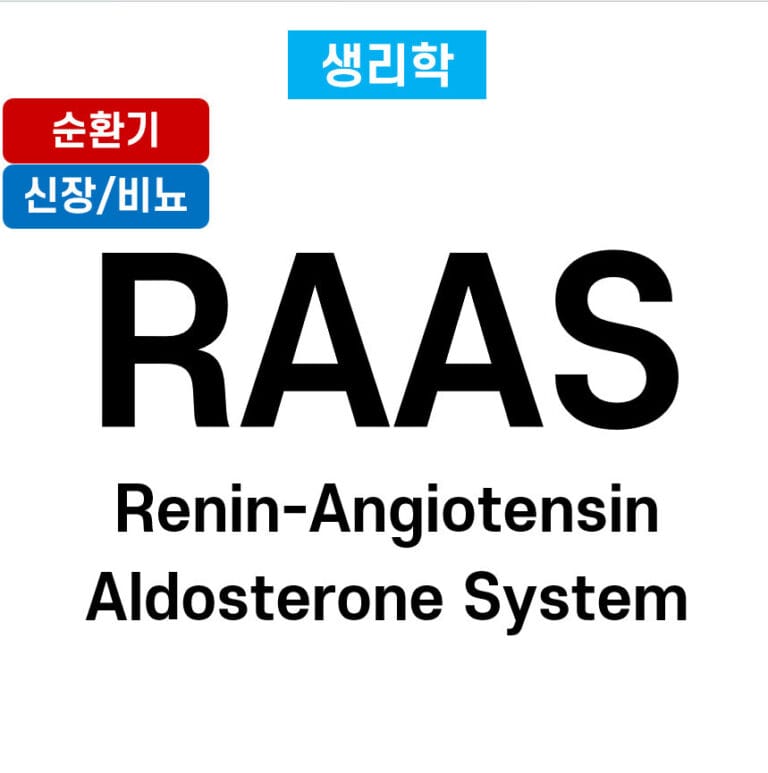 RAAS, 레닌-안지오텐신-알도스테론 시스템