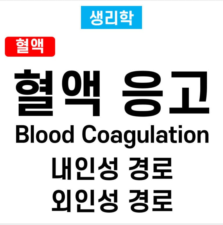 혈액 응고 경로 (Blood Coagulation Pathways) : 내인성 경로와 외인성 경로
