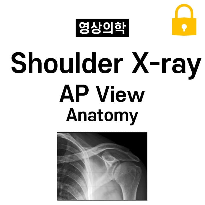 Shoulder X-ray Anatomy