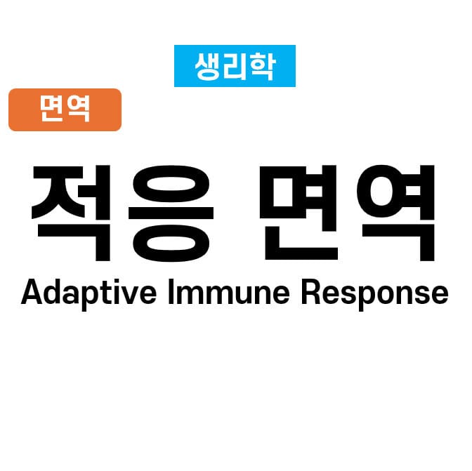 adaptive immune response