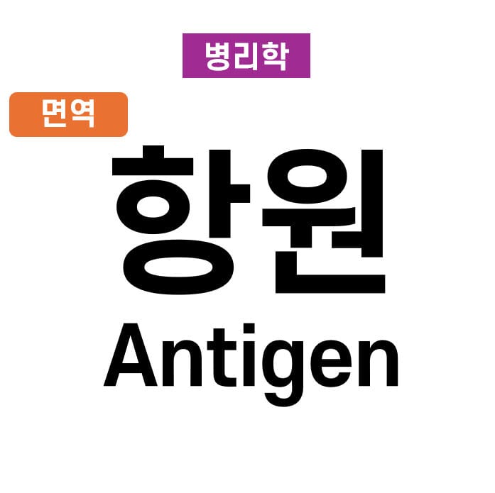 항원 (Antigen)