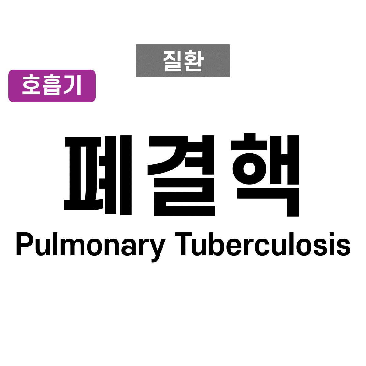폐결핵 (Pulmonary Tuberculosis)