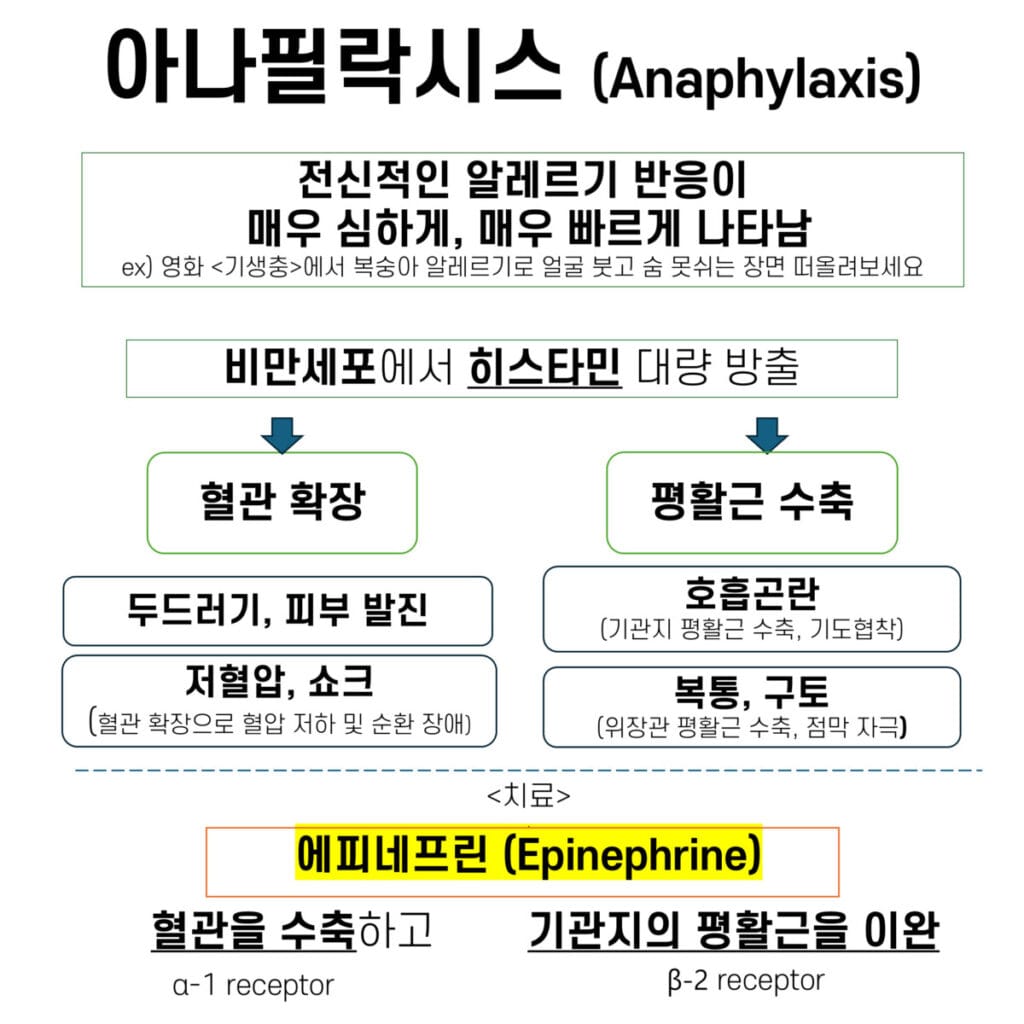 아나필락시스 (Anaphylaxis)