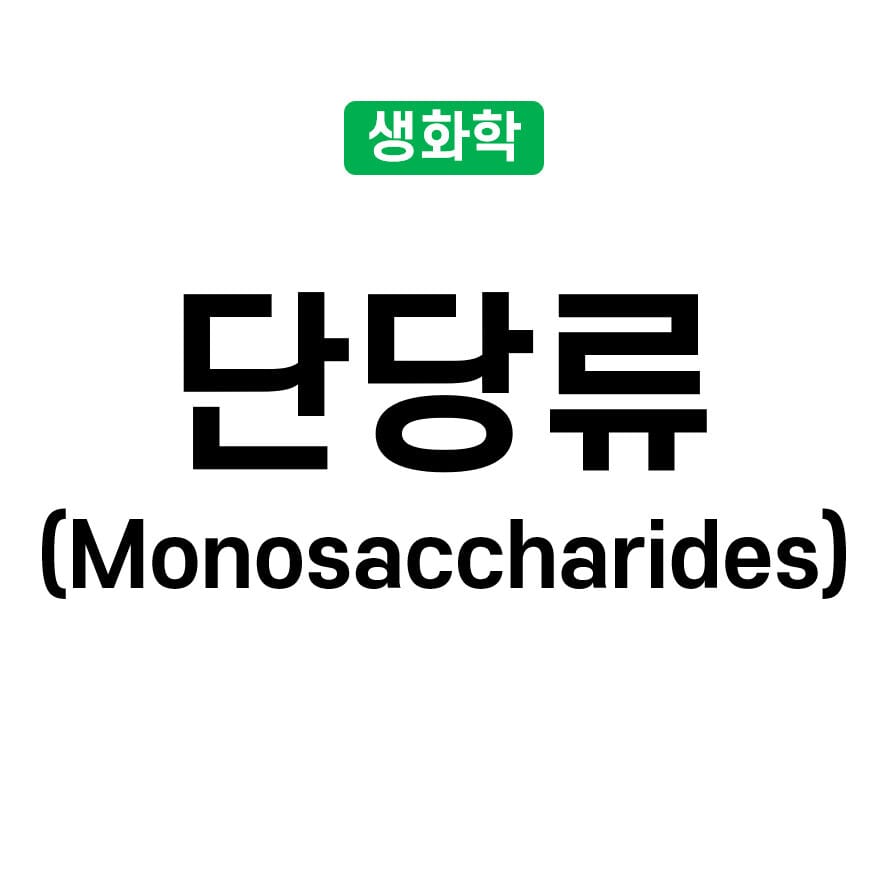 단당류 (Monosaccharides)