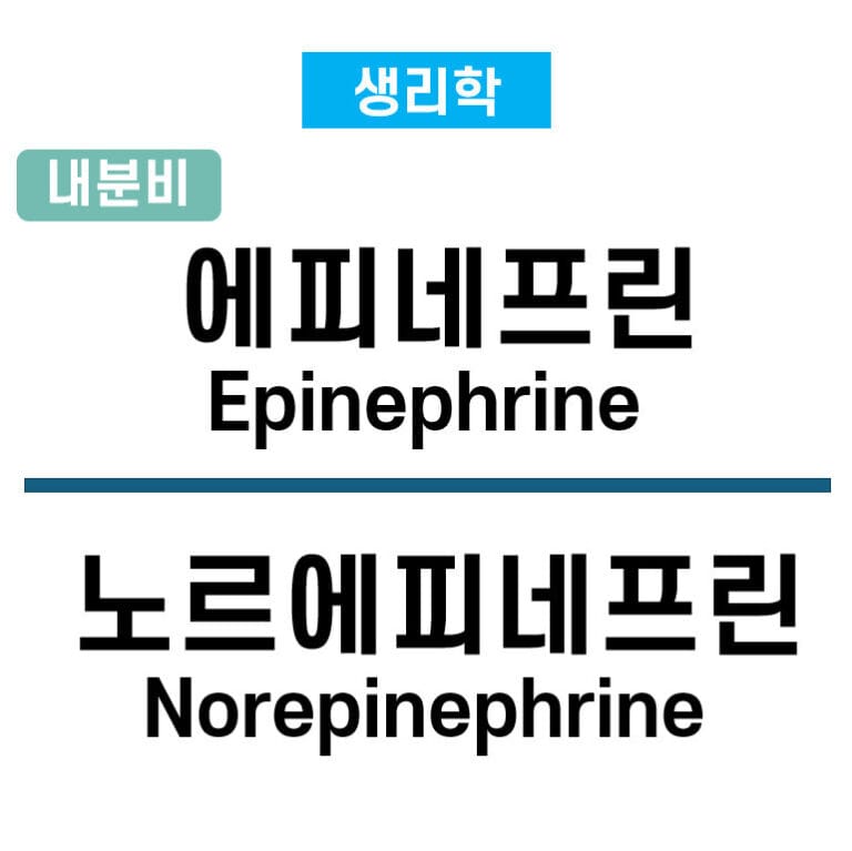 epinephrine norepinephrine