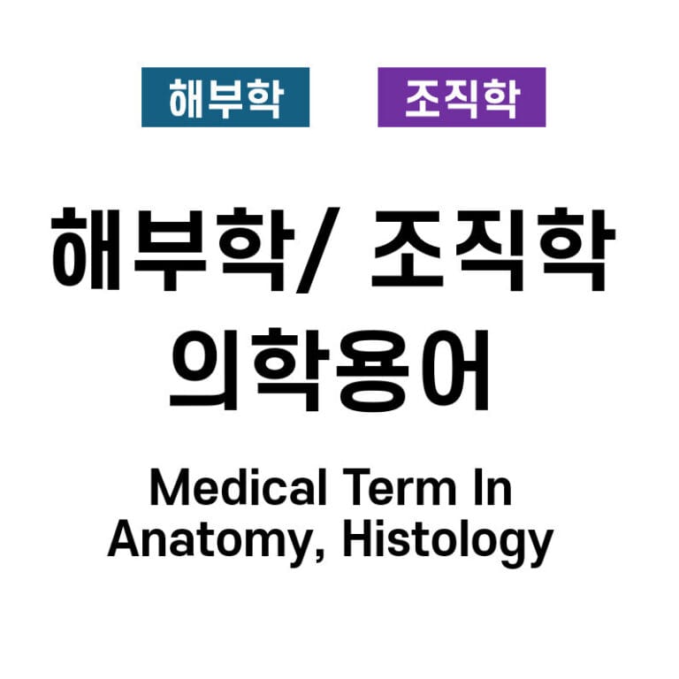 해부학 / 조직학 기본 의학용어 (Medical Terms In Anatomy, Histology)
