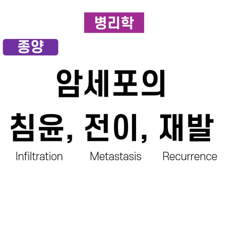 암세포의 침윤, 전이, 재발 (Infiltration, Metastasis, Recurrence)