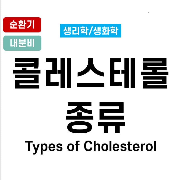 types of cholesterol