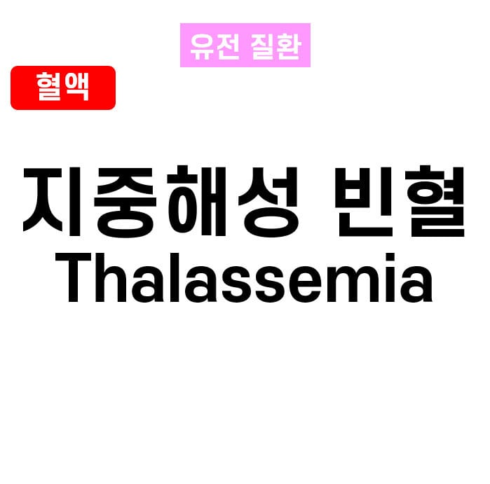 지중해성 빈혈 (Thalassemia)