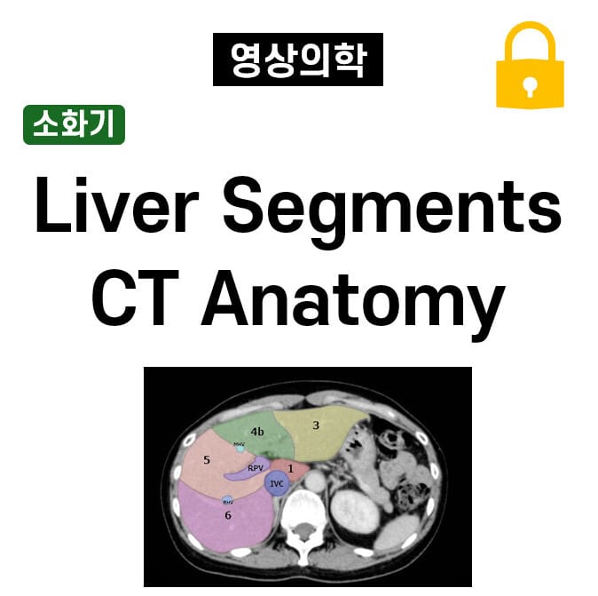 Liver segments CT anatomy