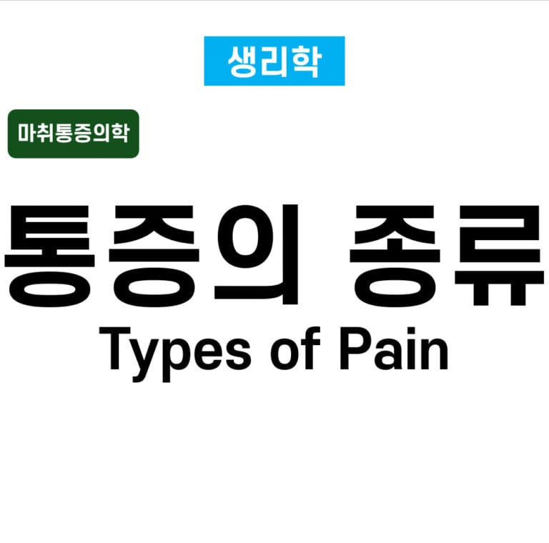 통증의 종류 (Types of Pain)