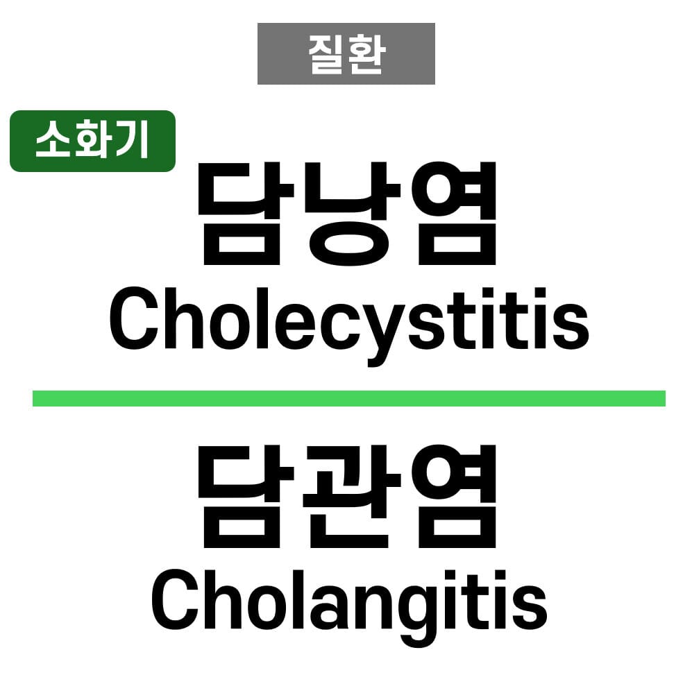 담낭염 vs 담관염 (Cholecystitis vs Cholangitis)