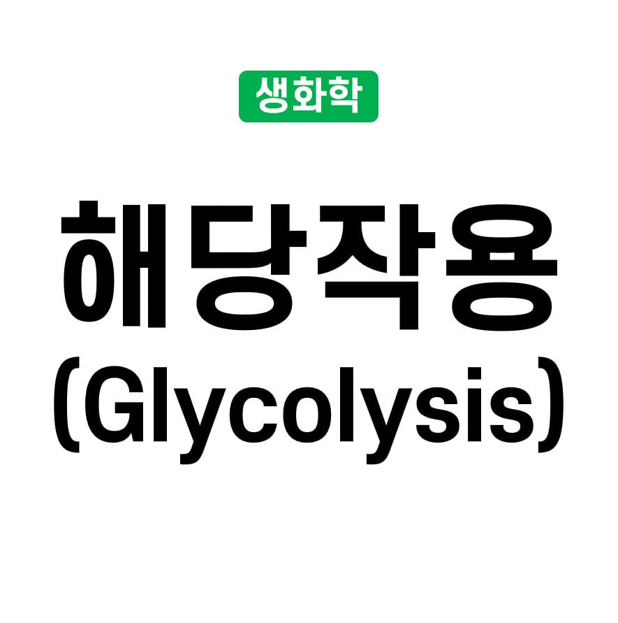 Glycolysis (해당작용)
