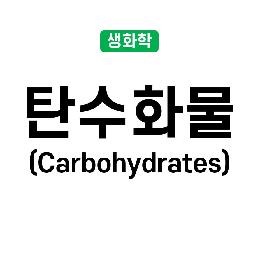 탄수화물 (Carbohydrates)