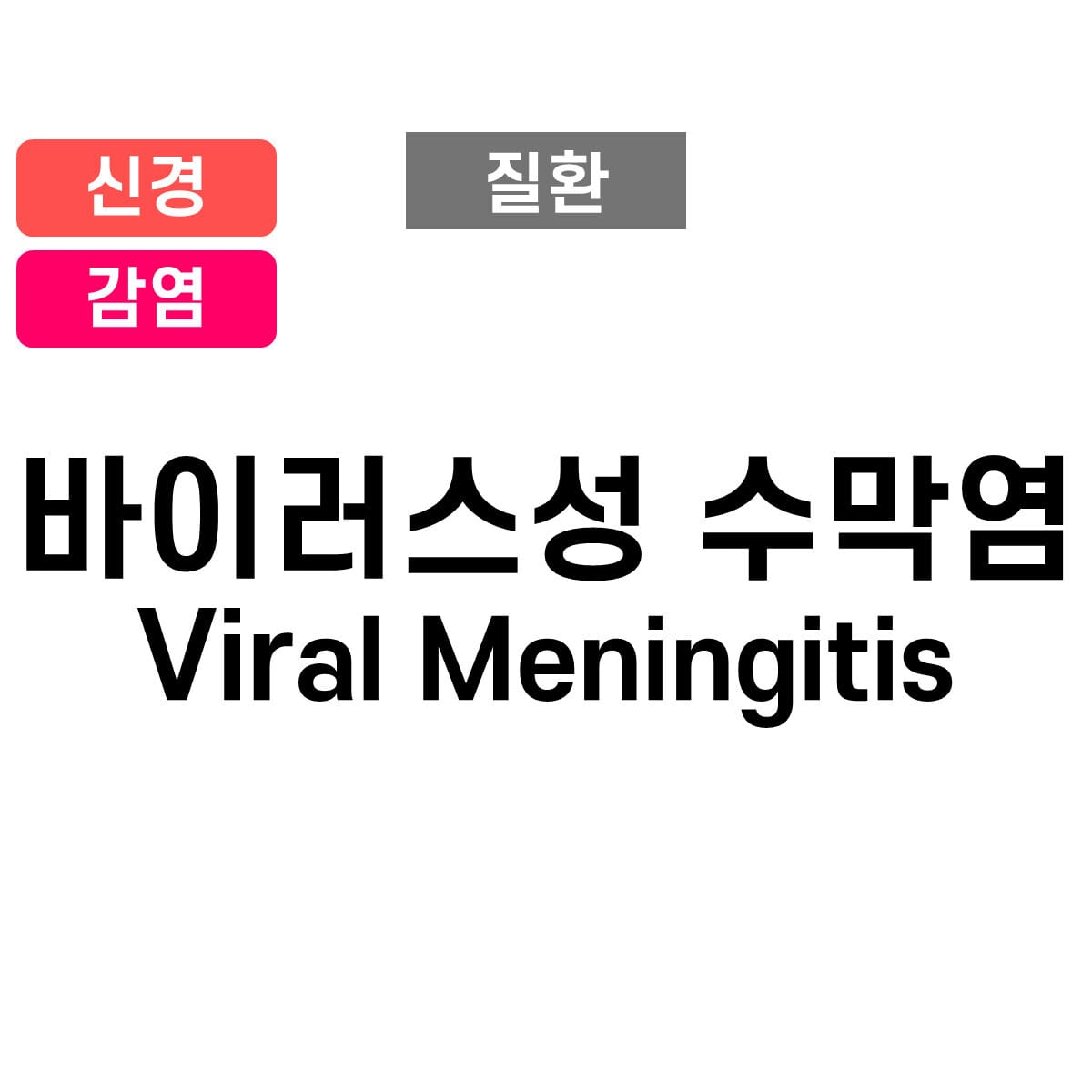 바이러스성 수막염 (Viral meningitis)
