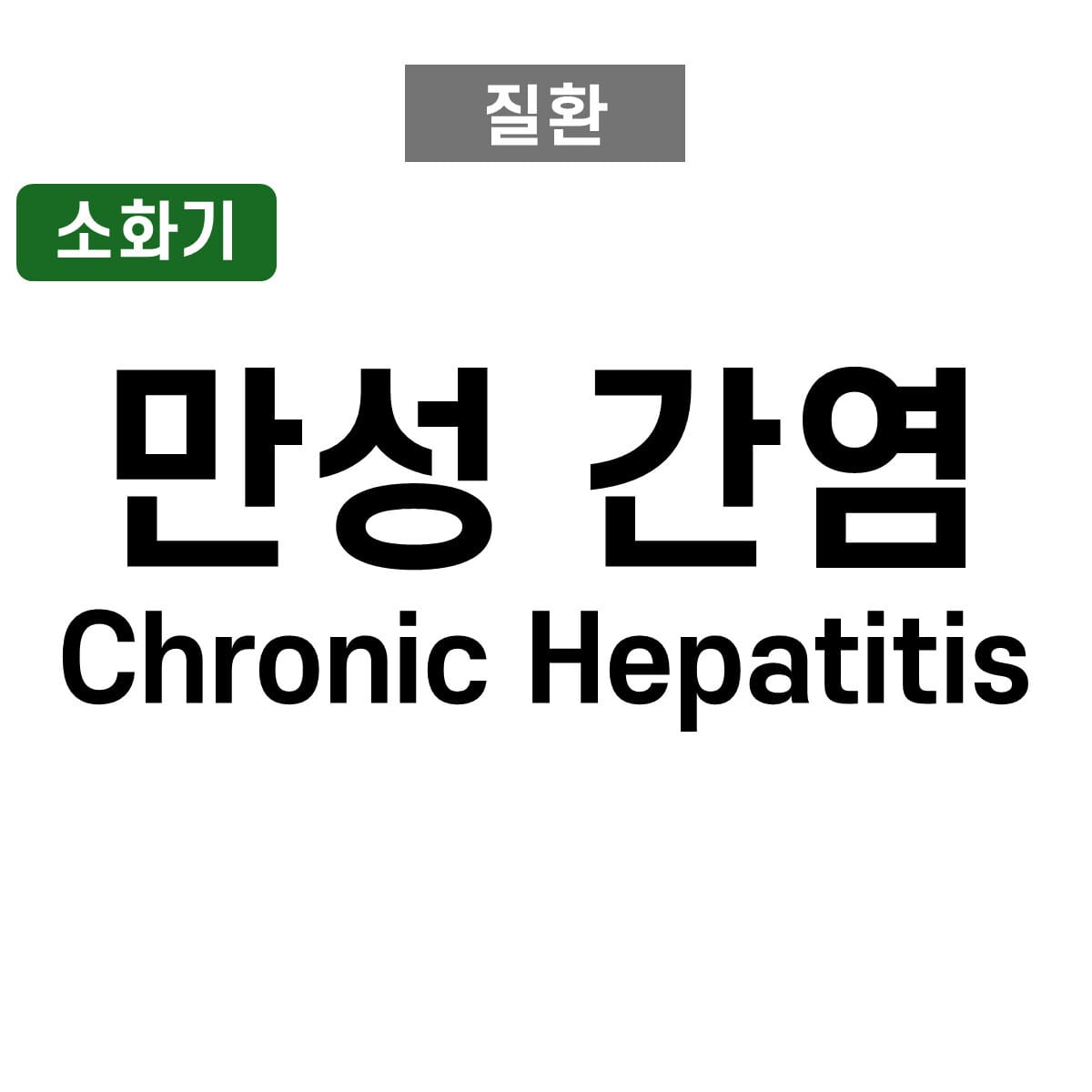 만성 간염 (Chronic Hepatitis)