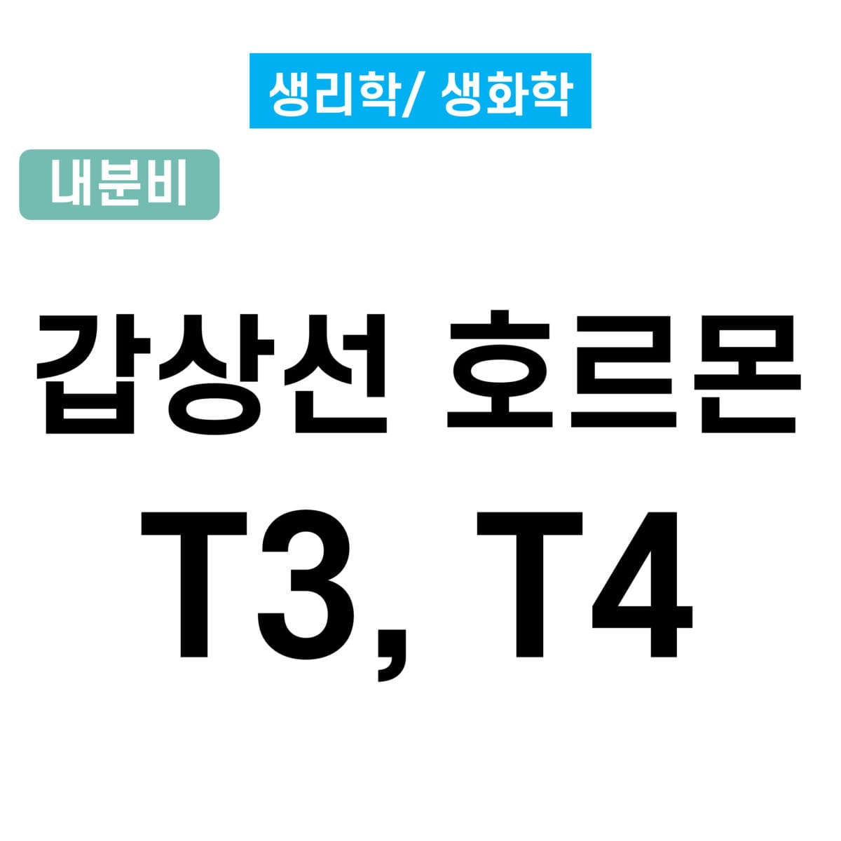 갑상선 호르몬(Thyroid Hormone) – T3, T4