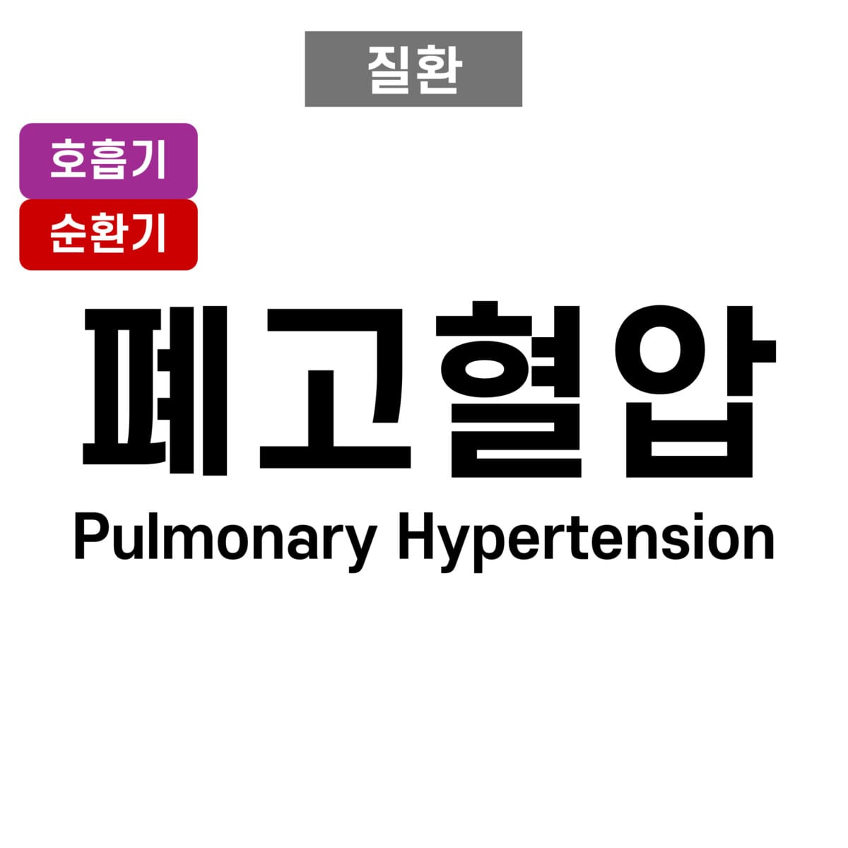 폐동맥 고혈압 (Pulmonary Arterial Hypertension, PAH)