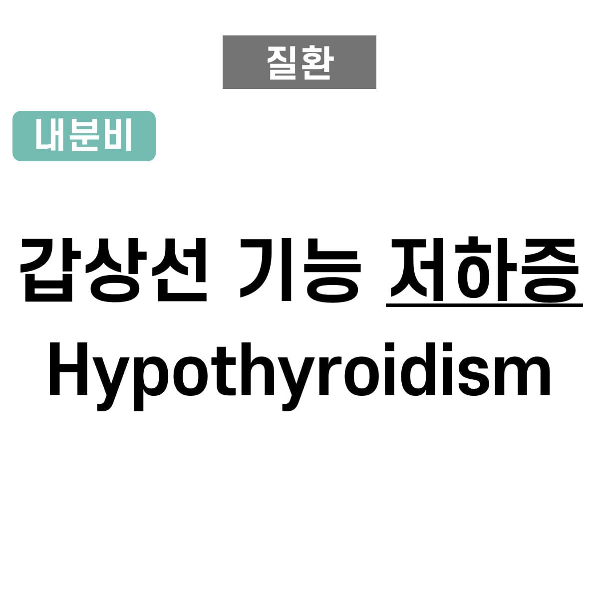 갑상선 기능 저하증 (Hypothyroidism)