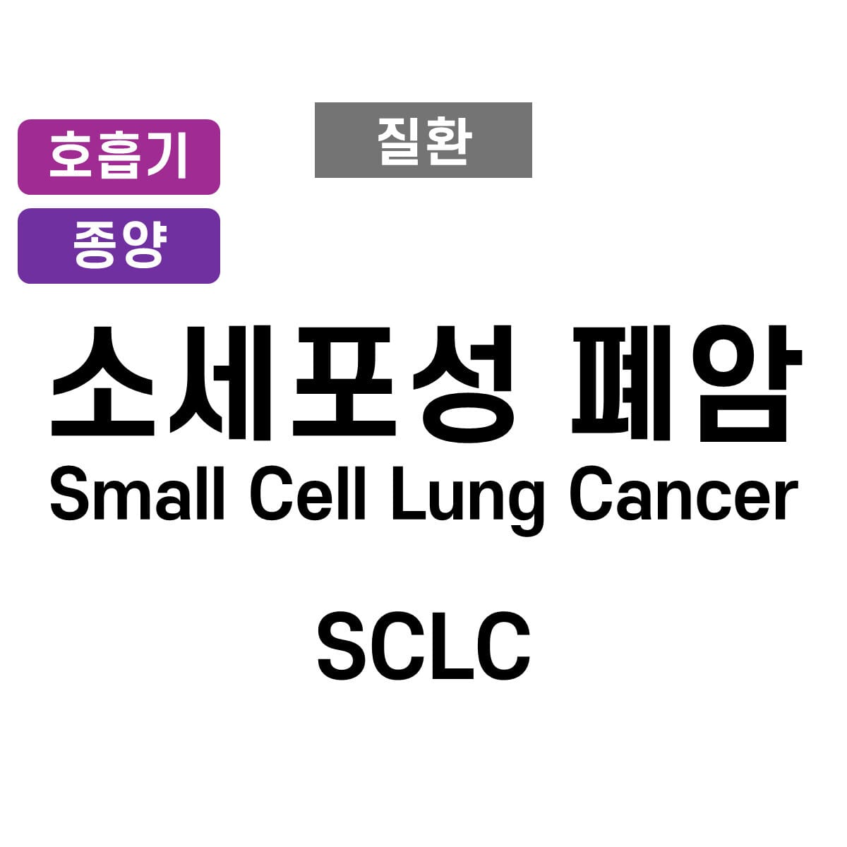 소세포폐암 (Small Cell Lung Cancer)