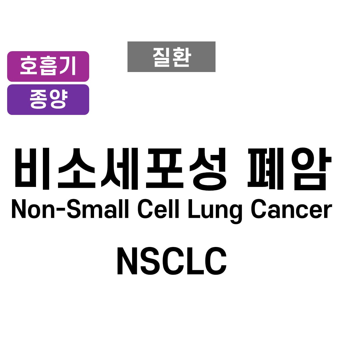 비소세포폐암 (NSCLC, Non-Small Cell Lung Cancer)