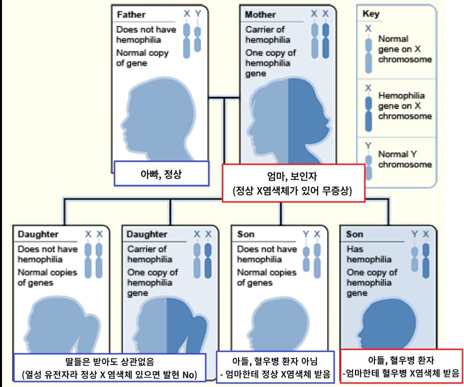 Hemophilia A, Hemophilia B