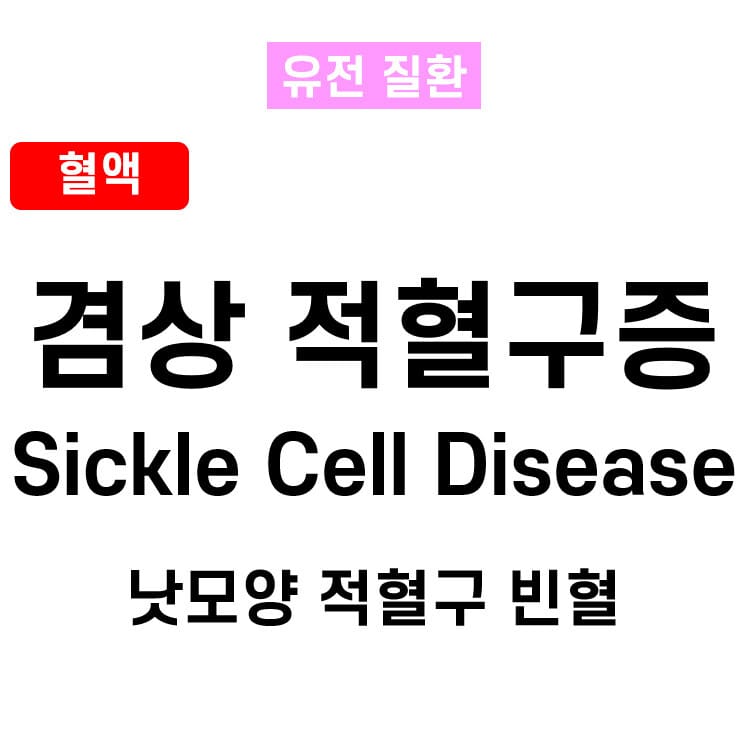 겸상 적혈구증 (Sickle Cell Disease)
