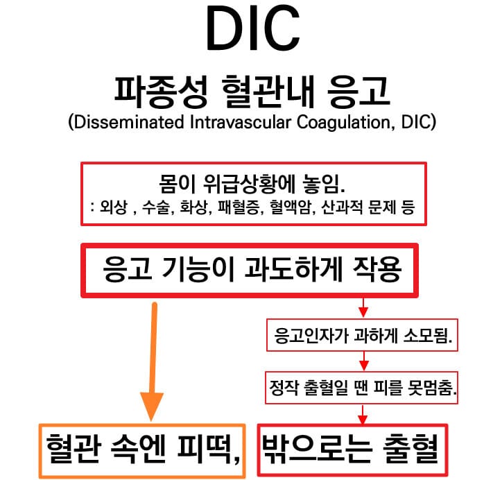 파종성 혈관내 응고 (Disseminated Intravascular Coagulation, DIC)