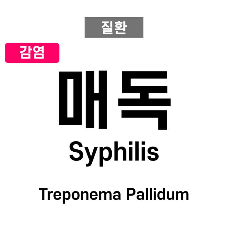매독 (Syphilis)