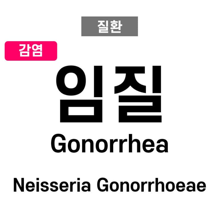 임질 (Gonorrhea)