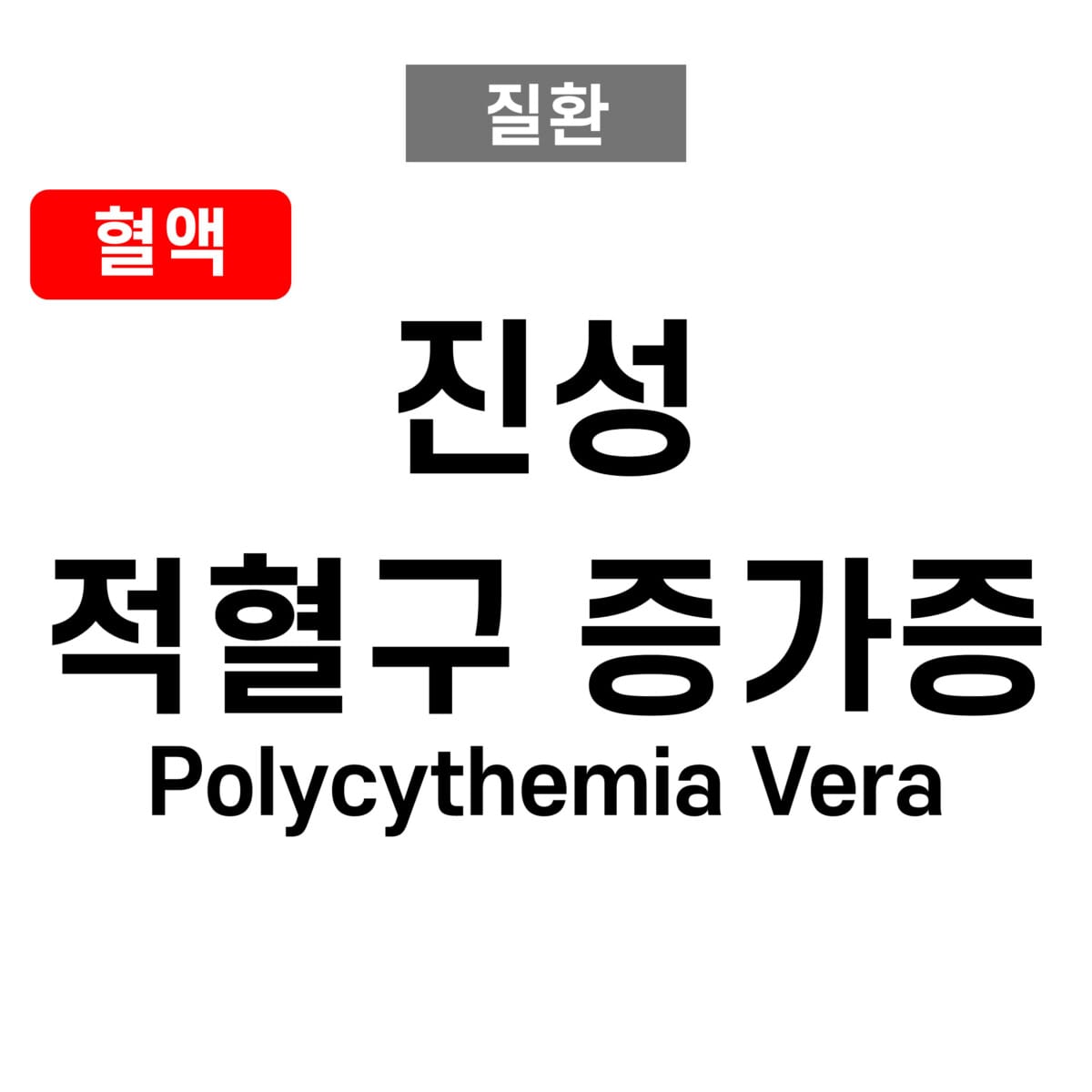 진성 적혈구 증가증 (Polycythemia Vera)