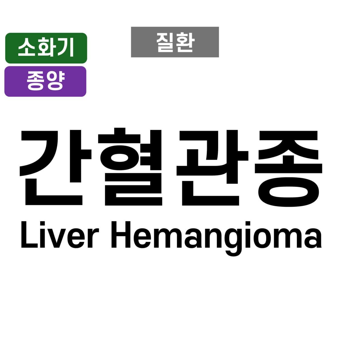 간혈관종 (Liver Hemangioma)