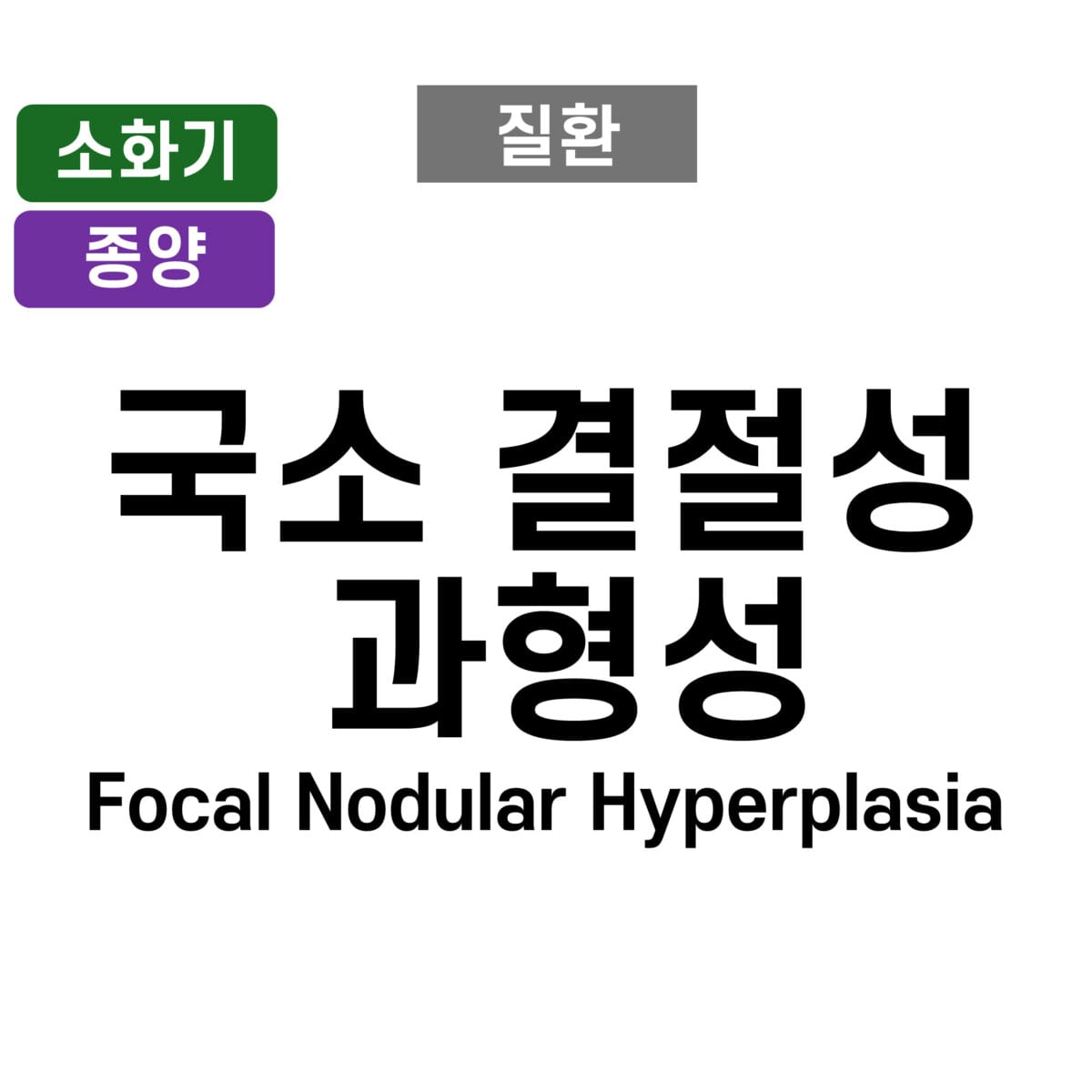 국소 결절성 과형성 (Focal Nodular Hyperplasia)