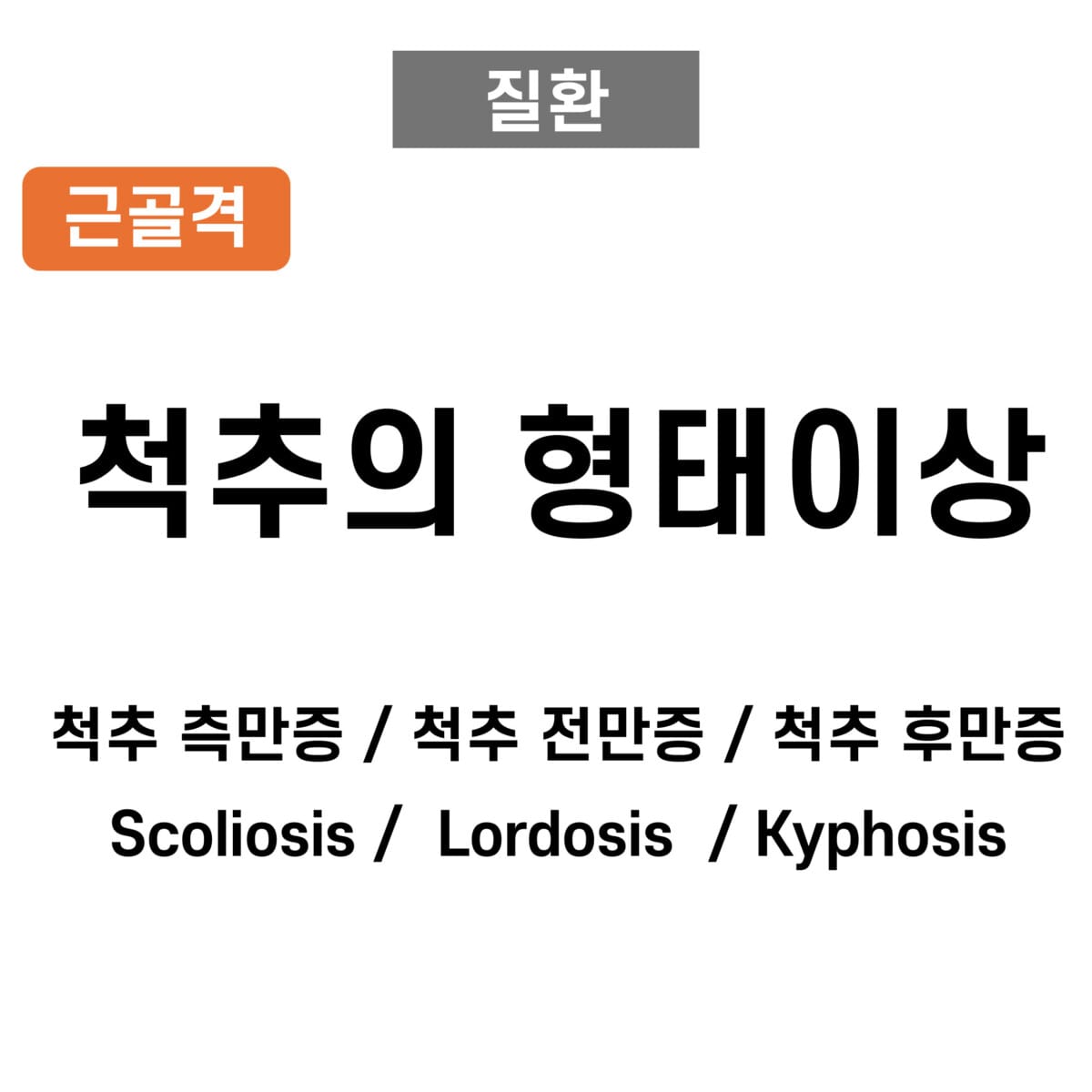 척추의 형태이상 : Scoliosis, Lordosis, Kyphosis