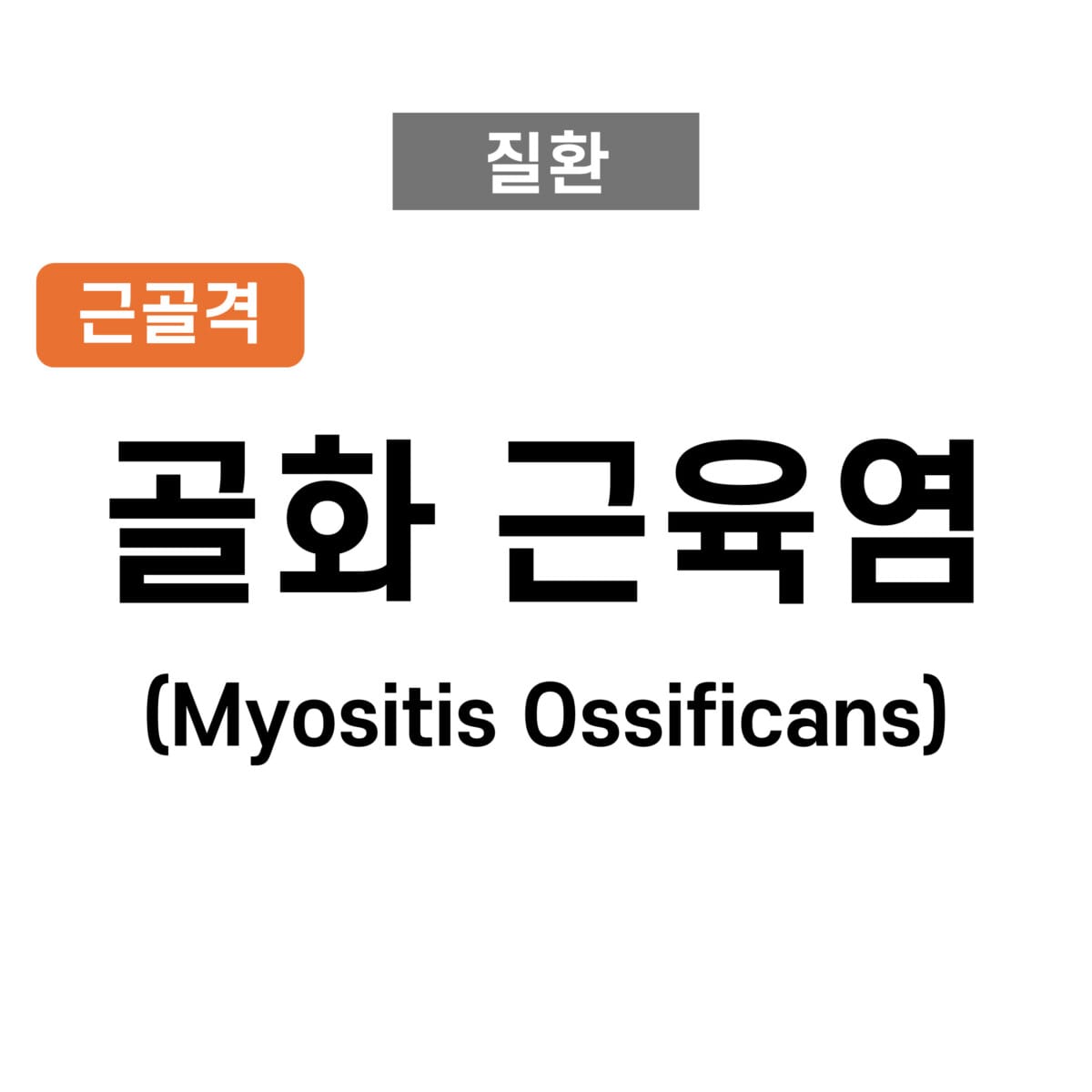골화 근육염 (Myositis Ossificans)