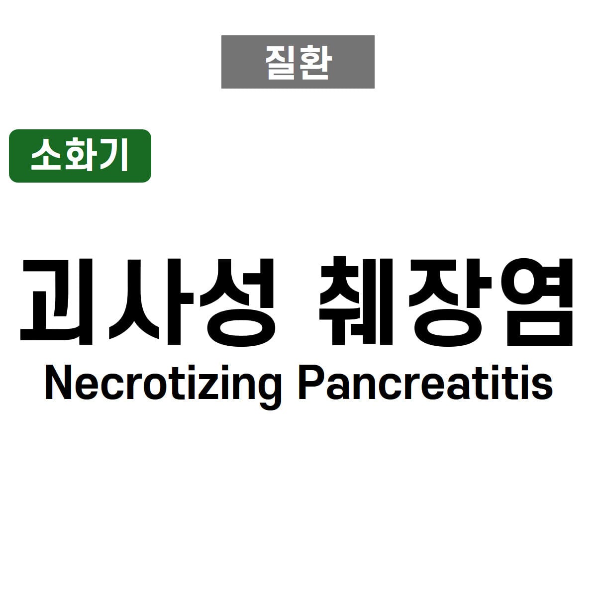 괴사성 췌장염 (Necrotizing Pancreatitis)