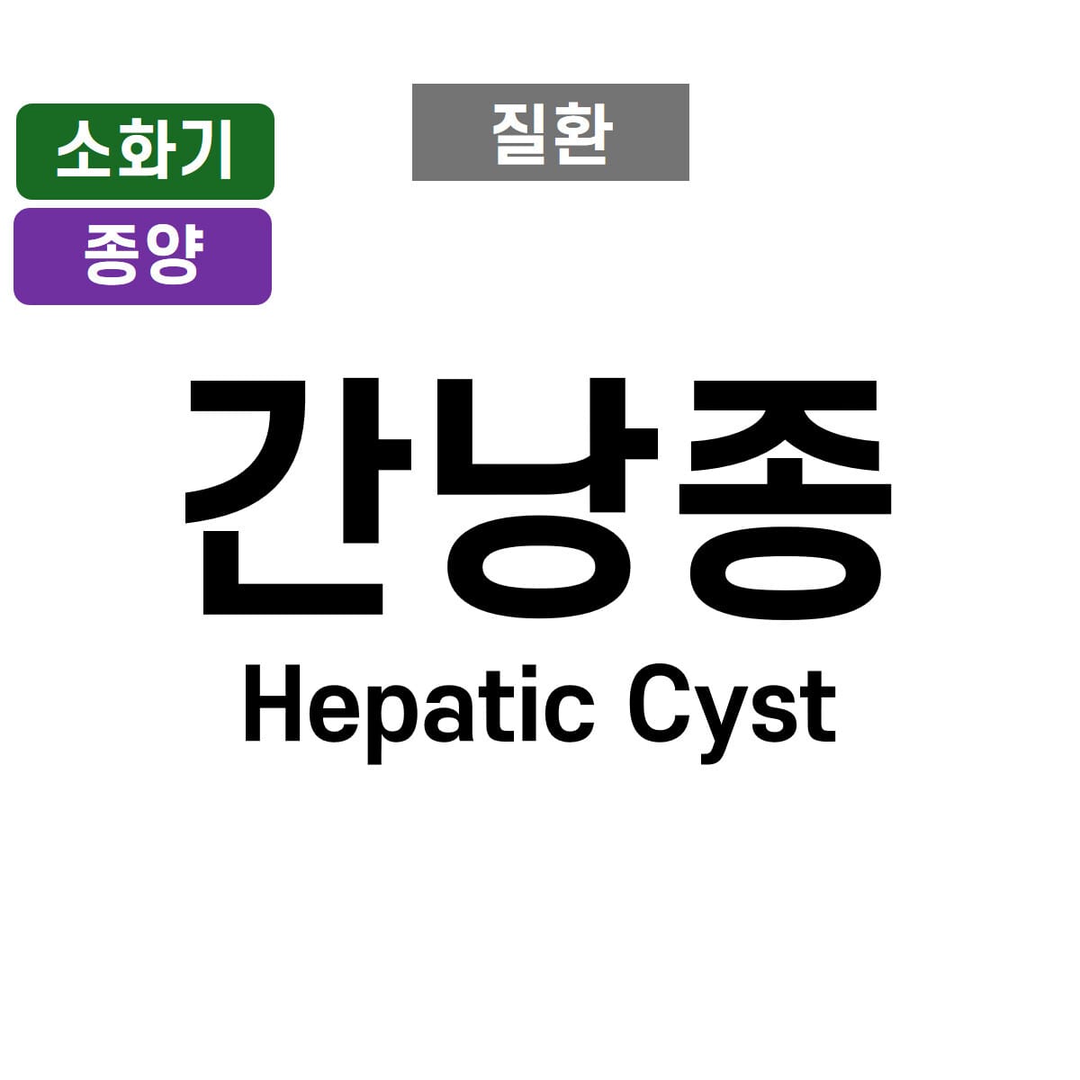 간낭종 (Hepatic Cyst)