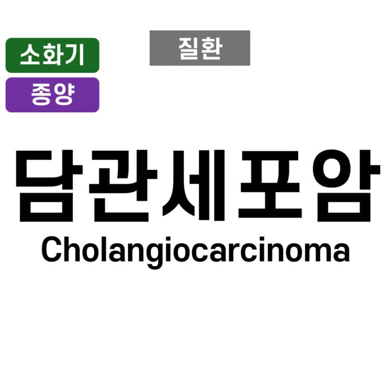 담관세포암 (Cholangiocarcinoma)