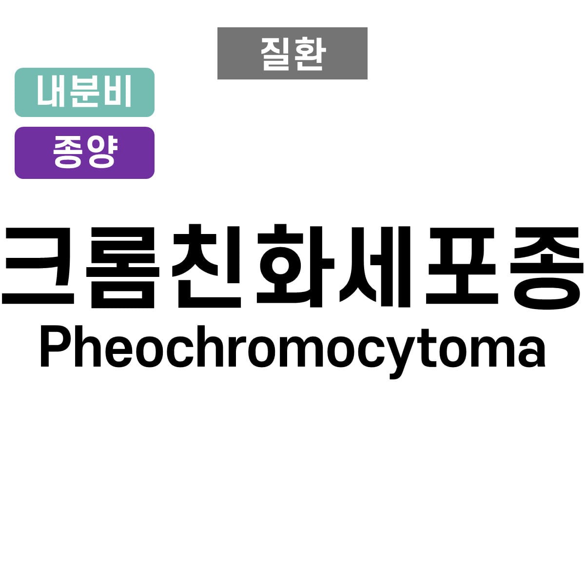 크롬친화세포종 (Pheochromocytoma)