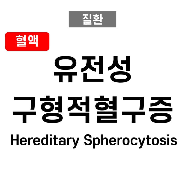 유전성 구상적혈구증 (Hereditary Spherocytosis)
