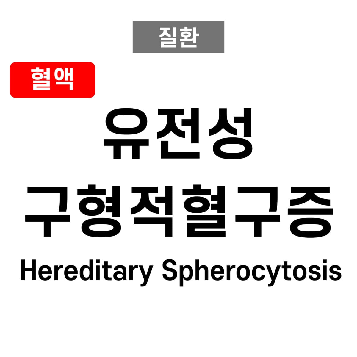 유전성 구상적혈구증 (Hereditary Spherocytosis)