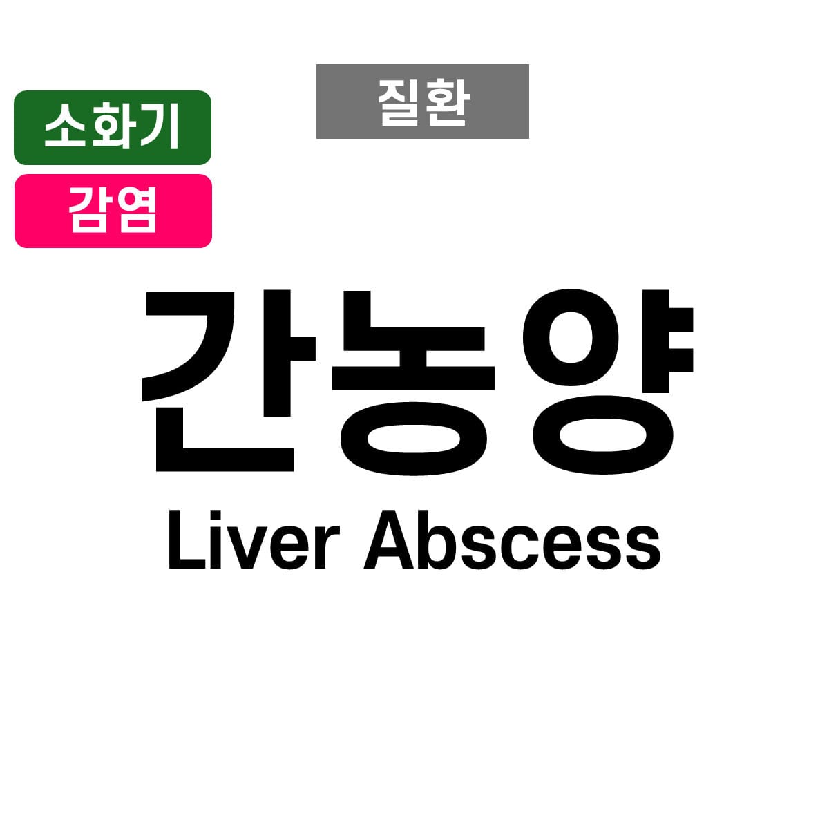 간농양 (Liver Abscess)