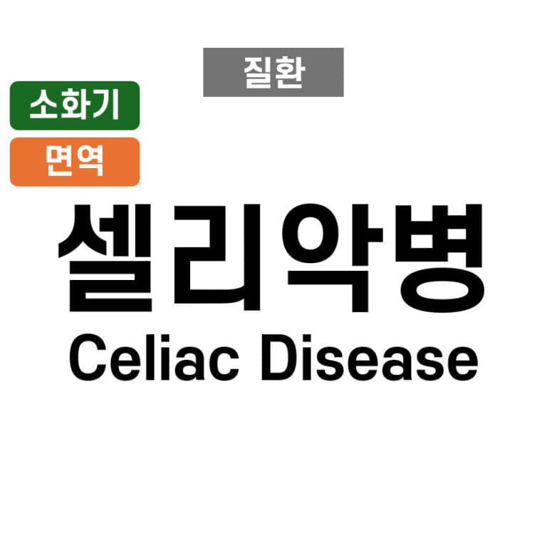 셀리악병 (Celiac Disease)