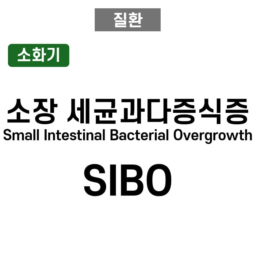 소장 세균 과다증식증 (SIBO,Small Intestinal Bacterial Overgrowth)