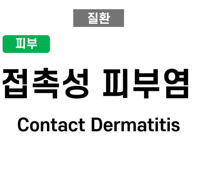 접촉성 피부염 (Contact Dermatitis)