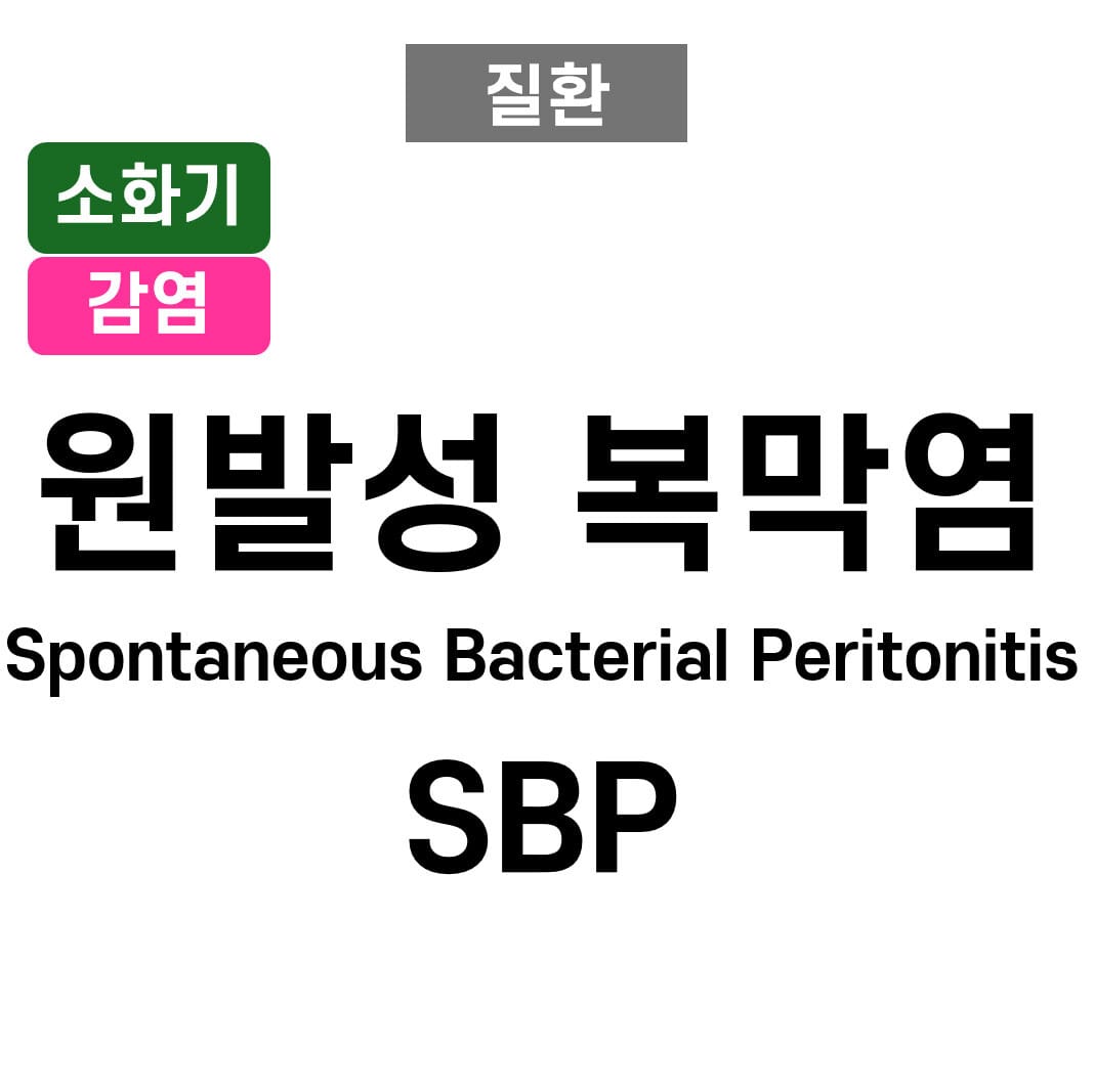 원발성 복막염 (Spontaneous Bacterial Peritonitis)