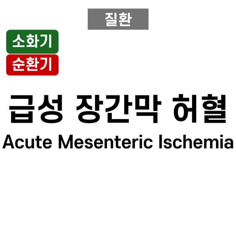 급성 장간막 허혈 (Acute Mesenteric Ischemia)