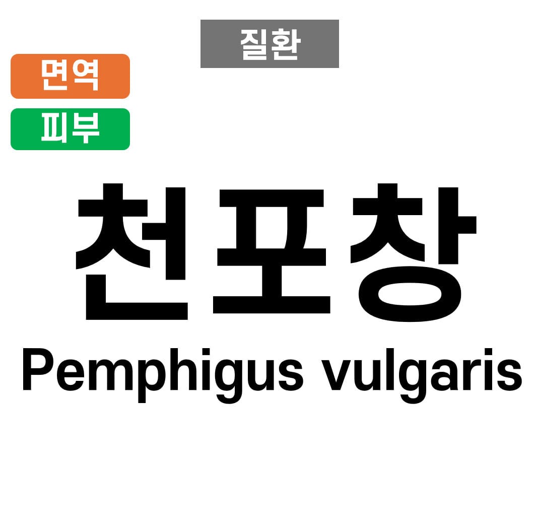 천포창 (Pemphigus vulgaris)