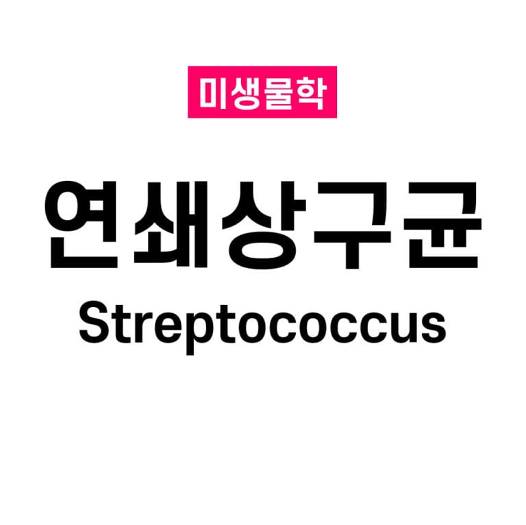 연쇄상구균 (Streptococcus)